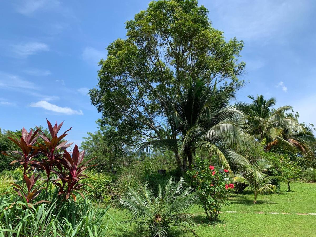 Lovely Garden Villas Pantai Cenang  Exterior photo